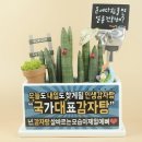 수영감자탕