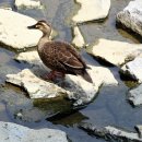 용산-188 이미지