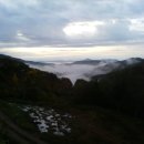 형식농장 이미지