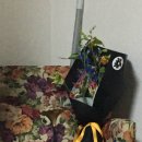 기록: 5월