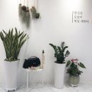 달달한상점 이미지