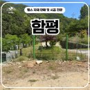 함평 | 함평휀스 시공 후기, 메쉬쌍문으로 출입까지 편리하게