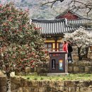 코레일관광개발, 해남군·관광학회와 땅끝마을 관광 활성화 이미지