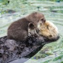 자장자장 이미지