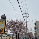 뚱이네감자탕