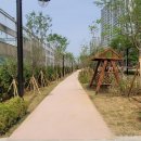 일산근린공원 화장실 이미지