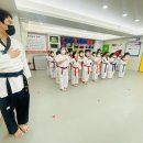 HTA 상수태권도 이미지