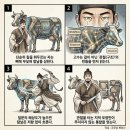 포정