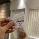 제이영래쉬