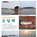 신당제 이미지