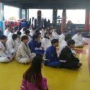 MMA주짓수 이미지