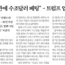 내가 뉴스다 이미지