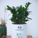 동탄센트럴이비인후과의원