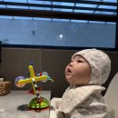 소근육 발달을 위한 클레이아트 | 소근육 발달에 좋은 아기 외출 필수템 쎄씨 바다친구 흡착장난감