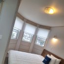 곰솔 | 반려견과 함께 다녀온 거제 푸조와곰솔 숙박 후기