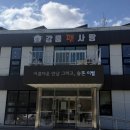 강릉펫사랑(장례식장) | 노견 두부를 위해 애견장례식장 미리 알아보기, 강릉펫사랑