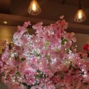 꽃피는 봄이 오면 이미지