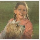 초원의 집 이미지