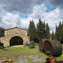 파토리아 이미지