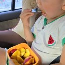 천도공원 | 아달달농산의 딴딴하고 아삭한 천도복숭아 후기