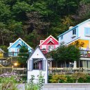 강촌초코민트 이미지