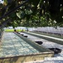 이종현농장 이미지