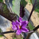 경방농장 이미지