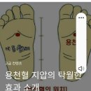 -맨발로 자갈밭을 걸어서 만병을 통치하자 이미지