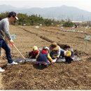 신바람농장 이미지