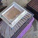 화룡농장 이미지