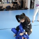 트라이스톤 주짓수 태권도 이미지