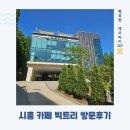 빅크리에이터 | 시흥 카페 빅트리 방문후기
