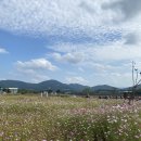 코스모스경로당 이미지