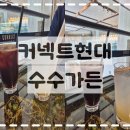 범일동 카페 추천｜더현대커넥트 식물카페 수수가든 방문후기