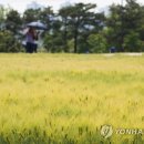 소만농장 이미지
