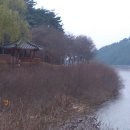 금평공원 이미지