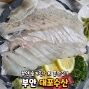 [부안 맛집] 부안에 숨겨진 회 맛집 "대포수산" 추천 후기 / 내돈내산💸