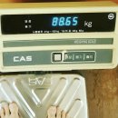 대로3-42 이미지