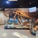 쥬라기풀빌라 이미지