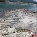 솥땡도