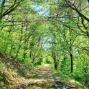 메디셀 플러스 건강기능식품 | 나인플러스 제품 리뷰 효과와 성분 건강기능식품 완벽 가이드 후기 9월 10일