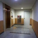 서울신은초등학교 이미지