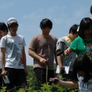 에코아이 세번 째 활동-둠벙 탐사 이미지