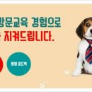 세이브독 이미지