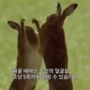 화，안，예