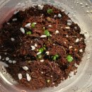 부산광역시농업기술센터 화장실 | 관악치유농업 힐링가드닝