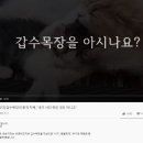 사갑목장 머니투데이
