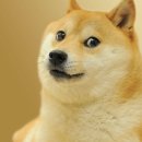 내사는이야기 이미지