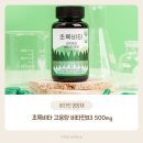 초록비타민 | 초록비타 비타민B3 먹어본 후기｜고용량 비타민B3 나이아신아마이드 솔직 리뷰~