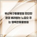행복한동물병원 - 성남시 분당구 동판교로 226 | 행복한동물병원